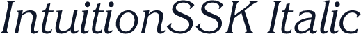 IntuitionSSK Italic