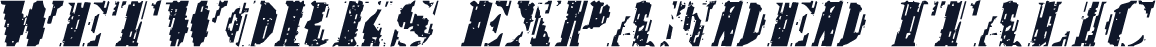 Wetworks Expanded Italic