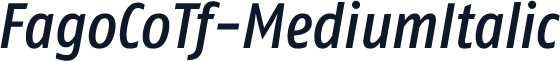 FagoCoTf-MediumItalic