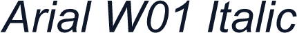 Arial W01 Italic