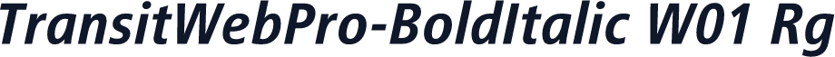 TransitWebPro-BoldItalic W01 Rg