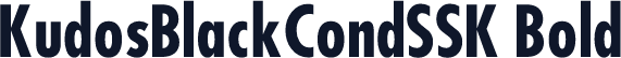 KudosBlackCondSSK Bold