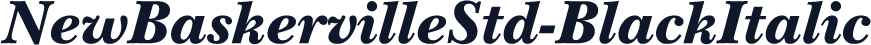 NewBaskervilleStd-BlackItalic