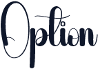 Option