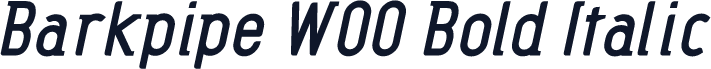 Barkpipe W00 Bold Italic