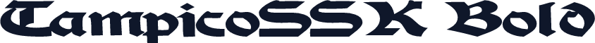 TampicoSSK Bold