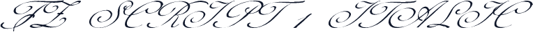 FZ SCRIPT 1 ITALIC