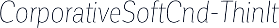 CorporativeSoftCnd-ThinIt