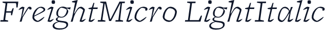 FreightMicro LightItalic