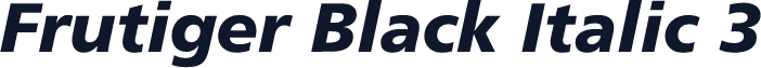 Frutiger Black Italic 3