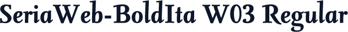 SeriaWeb-BoldIta W03 Regular
