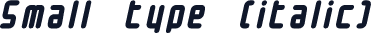 Small type (italic)