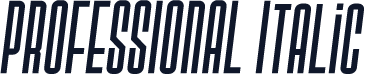 PROFESSIONAL Italic