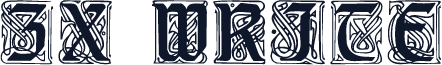 ZX WRITE