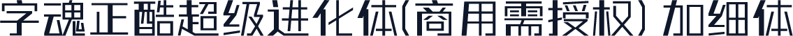 字魂正酷超级进化体(商用需授权) 加细体