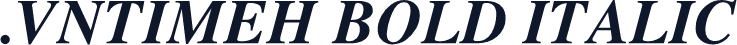 .VnTimeH Bold Italic