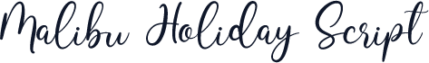 Malibu Holiday Script