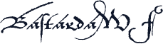 BastardaWF