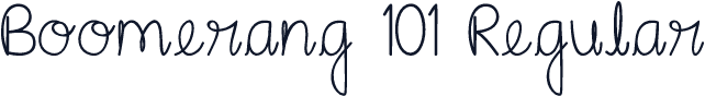 Boomerang 101 Regular