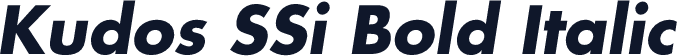 Kudos SSi Bold Italic