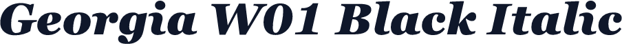 Georgia W01 Black Italic