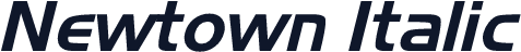 Newtown Italic