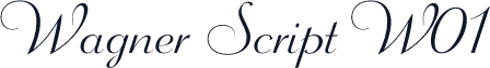 Wagner Script W01