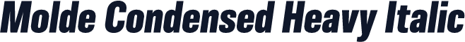 Molde Condensed Heavy Italic