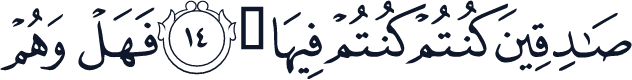 QCF_P223