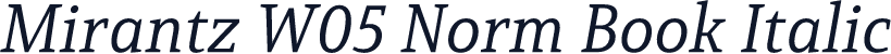 Mirantz W05 Norm Book Italic