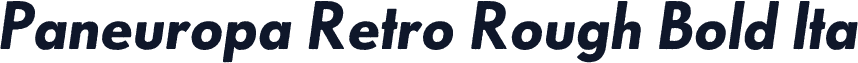 Paneuropa Retro Rough Bold Ita