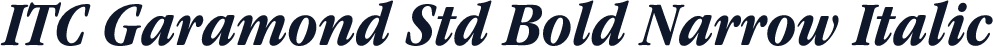 ITC Garamond Std Bold Narrow Italic