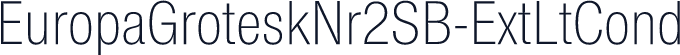 EuropaGroteskNr2SB-ExtLtCond