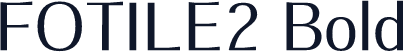 FOTILE2 Bold