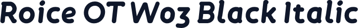 Roice OT W03 Black Italic