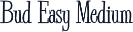 Bud Easy Medium