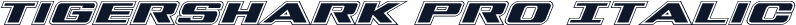 Tigershark Pro Italic