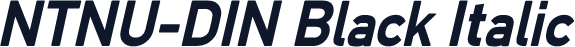 NTNU-DIN Black Italic