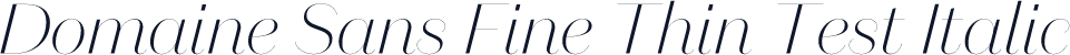 Domaine Sans Fine Thin Test Italic