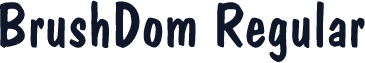 BrushDom Regular