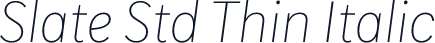 Slate Std Thin Italic