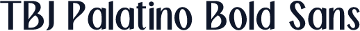 TBJ Palatino Bold Sans