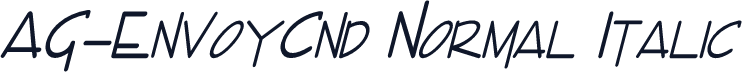 AG-EnvoyCnd Normal Italic