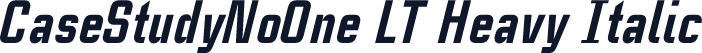 CaseStudyNoOne LT Heavy Italic
