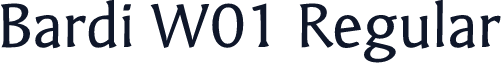 Bardi W01 Regular