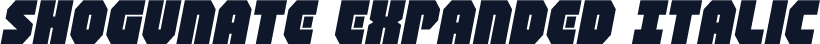 Shogunate Expanded Italic
