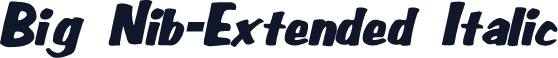 Big Nib-Extended Italic