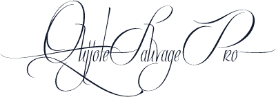 QuijoteSauvagePro