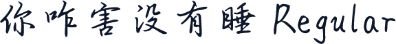 你咋害没有睡 Regular