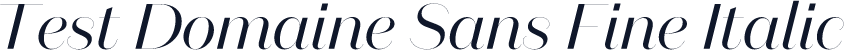 Test Domaine Sans Fine Italic